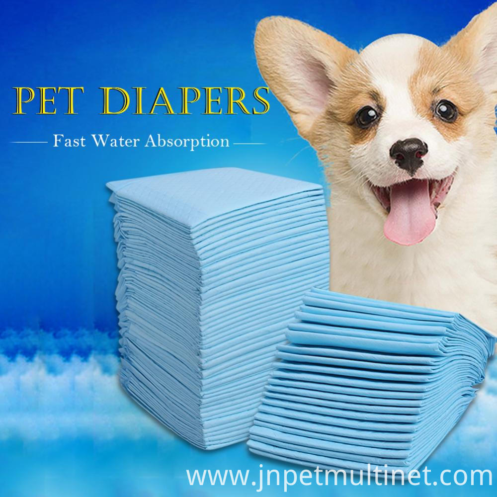 Pet Diaper 1 Pet Diaper 1